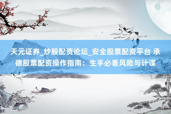 天元证券_炒股配资论坛_安全股票配资平台 承德股票配资操作指南：生手必看风险与计谋
