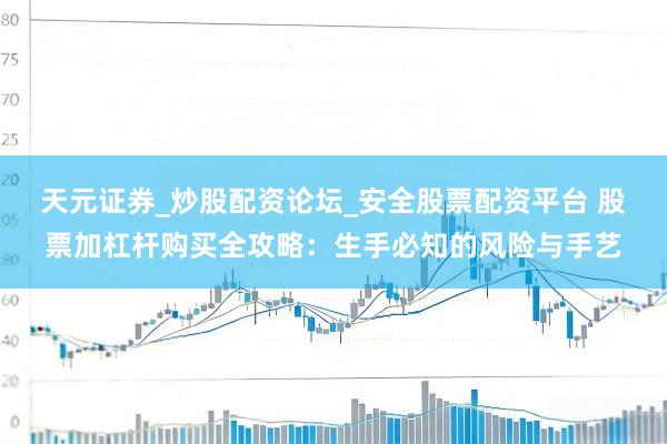 天元证券_炒股配资论坛_安全股票配资平台 股票加杠杆购买全攻略：生手必知的风险与手艺