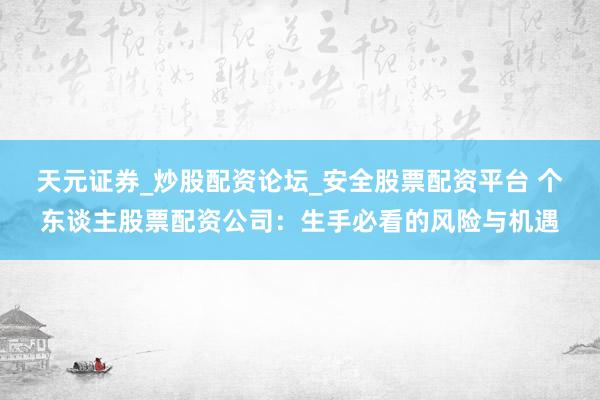 天元证券_炒股配资论坛_安全股票配资平台 个东谈主股票配资公司：生手必看的风险与机遇