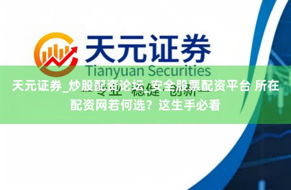 天元证券_炒股配资论坛_安全股票配资平台 所在配资网若何选？这生手必看