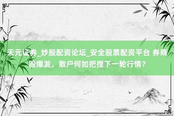 天元证券_炒股配资论坛_安全股票配资平台 券商股爆发，散户何如把捏下一轮行情？
