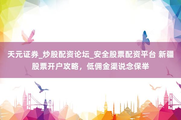 天元证券_炒股配资论坛_安全股票配资平台 新疆股票开户攻略，低佣金渠说念保举