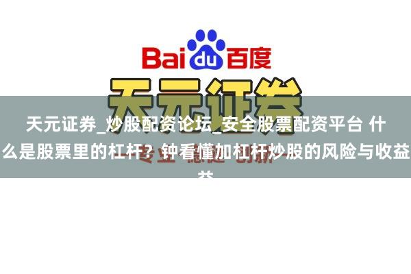 天元证券_炒股配资论坛_安全股票配资平台 什么是股票里的杠杆？钟看懂加杠杆炒股的风险与收益