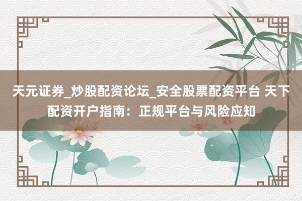 天元证券_炒股配资论坛_安全股票配资平台 天下配资开户指南：正规平台与风险应知