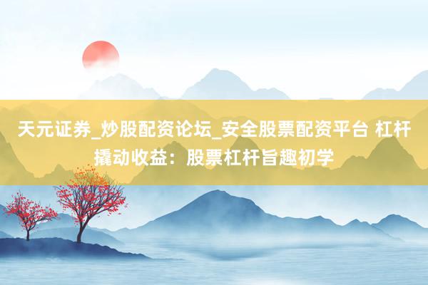 天元证券_炒股配资论坛_安全股票配资平台 杠杆撬动收益：股票杠杆旨趣初学