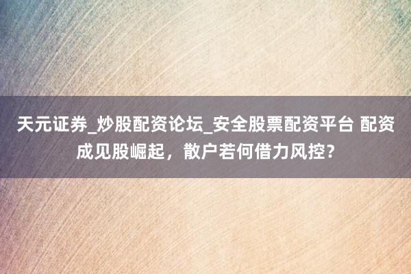 天元证券_炒股配资论坛_安全股票配资平台 配资成见股崛起，散户若何借力风控？