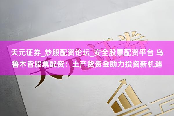 天元证券_炒股配资论坛_安全股票配资平台 乌鲁木皆股票配资：土产货资金助力投资新机遇